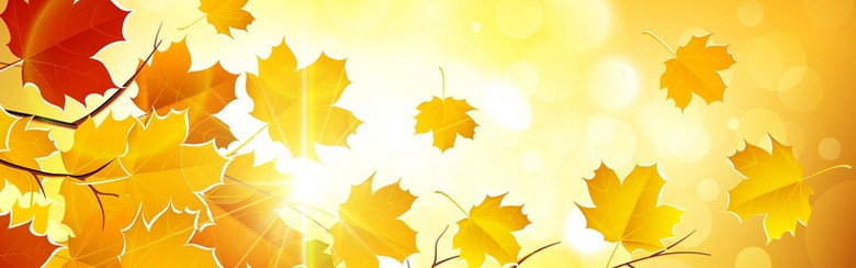 秋叶背景 素材 免费秋叶背景图片素材 秋叶背景素材大全 万素网