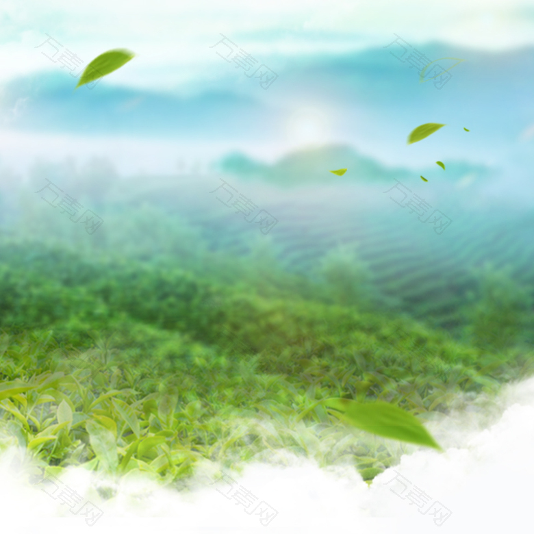 清新绿色茶园茶叶PSD分层主图背景素材