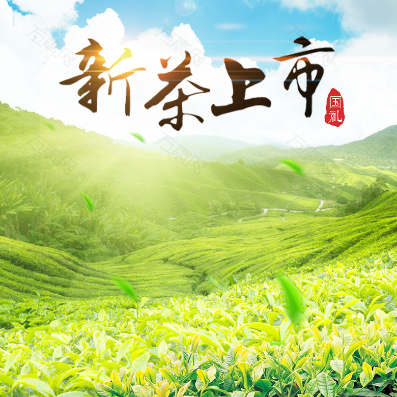 新茶上市节日促销模板