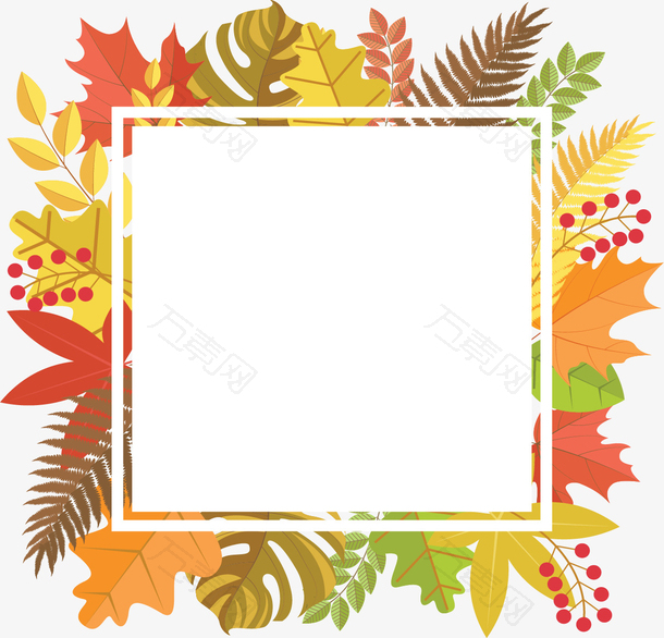 金秋时节美丽枫叶