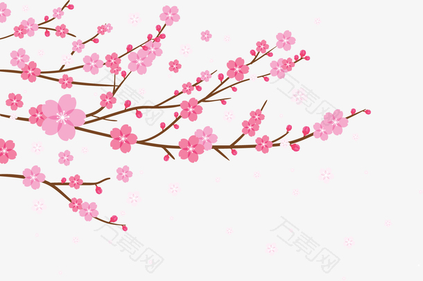 渐变的梅花