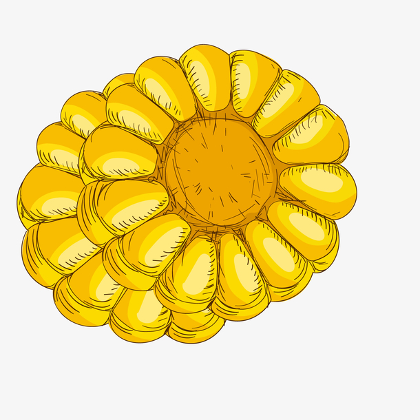 黄色手绘玉米食物元素