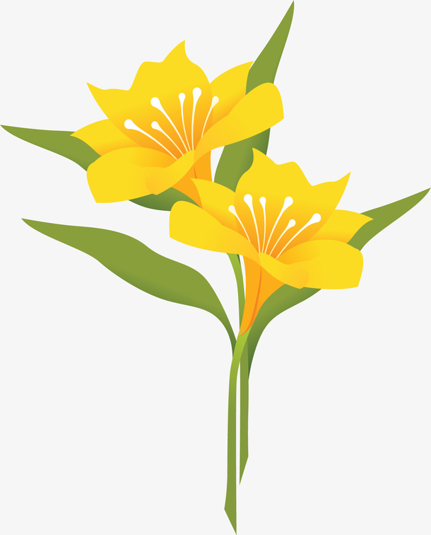 百合花装饰素材