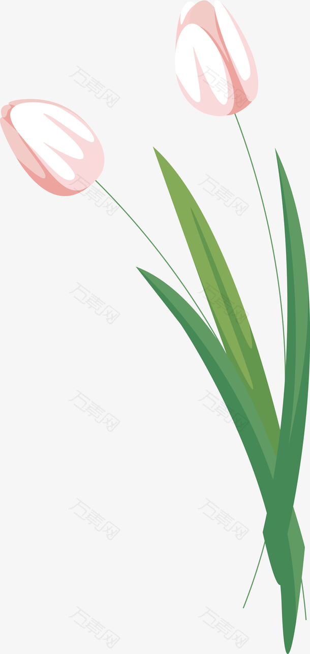 郁金香春天郁金香花田