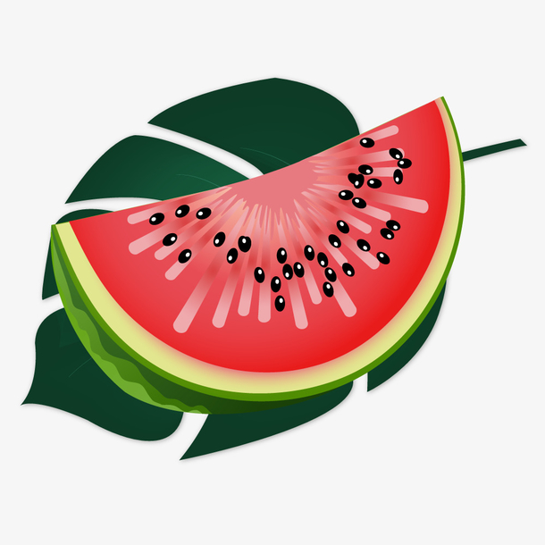 小清新花草植物西瓜矢量素材