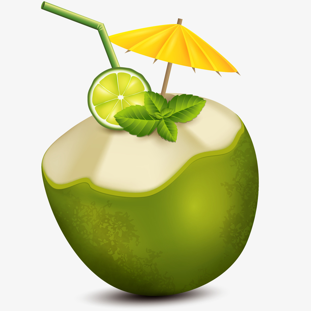 卡通椰子高清素材