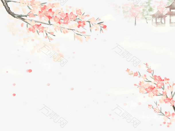 春天樱花树枝花瓣