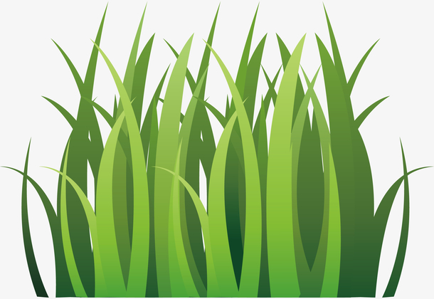 绿色的草 素材 免费绿色的草图片素材 绿色的草素材大全 万素网