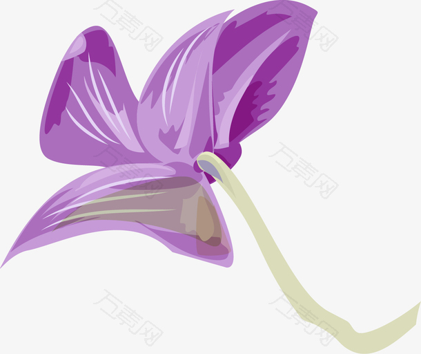 紫色的小花