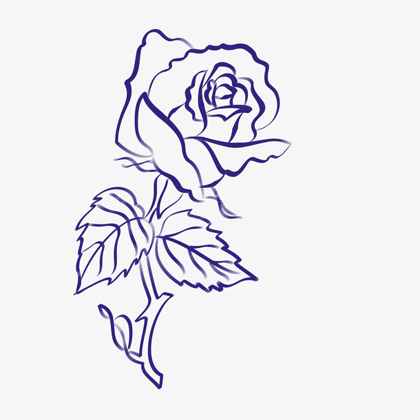 蓝玫瑰简笔画铅笔画图片