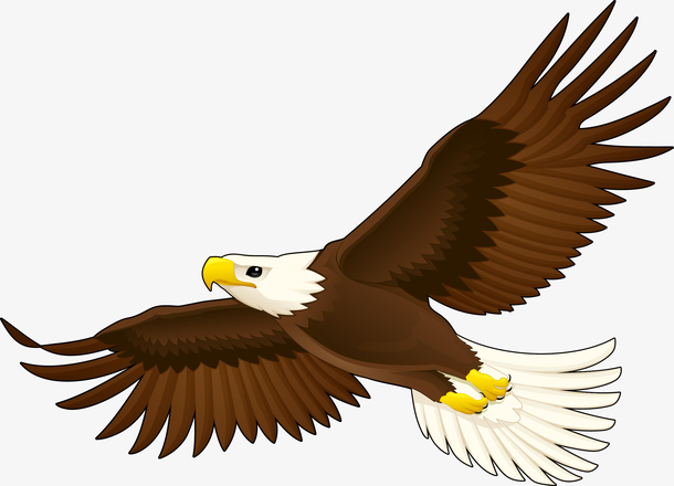 雏鹰展翅卡通图片