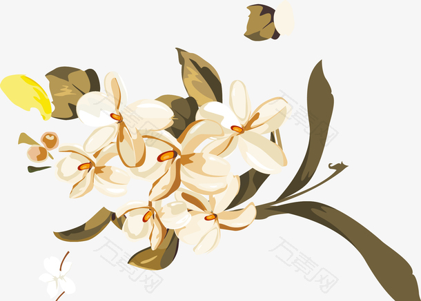 栀子花装饰设计矢量