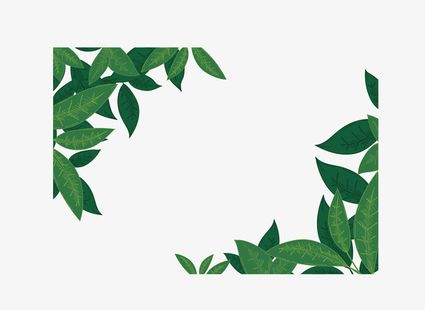 绿色树叶茶叶边框