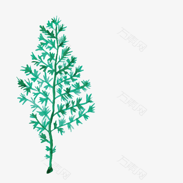 茂盛的深海的水草