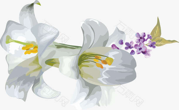 百合花矢量图卡通百合花