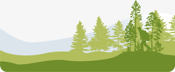 矢量图美丽的山林