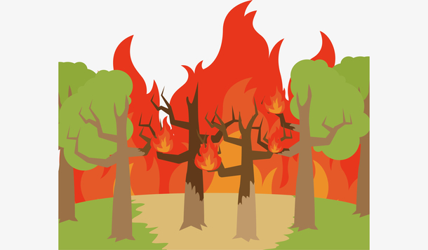 可爱的森林大火灾难