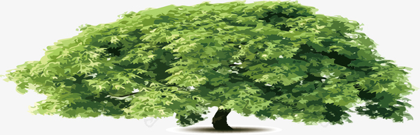 粗树树木卡通老树