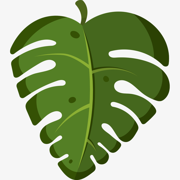 清新手绘插花龟背竹叶素材