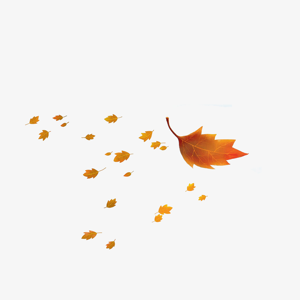 秋叶飘落卡通图片