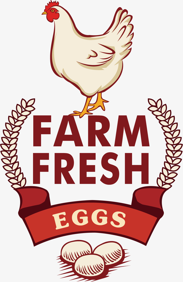 母鸡logo图片