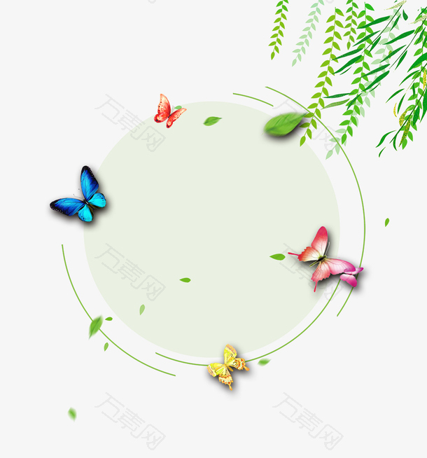 二十四节气之春分柳枝与蝴蝶春意