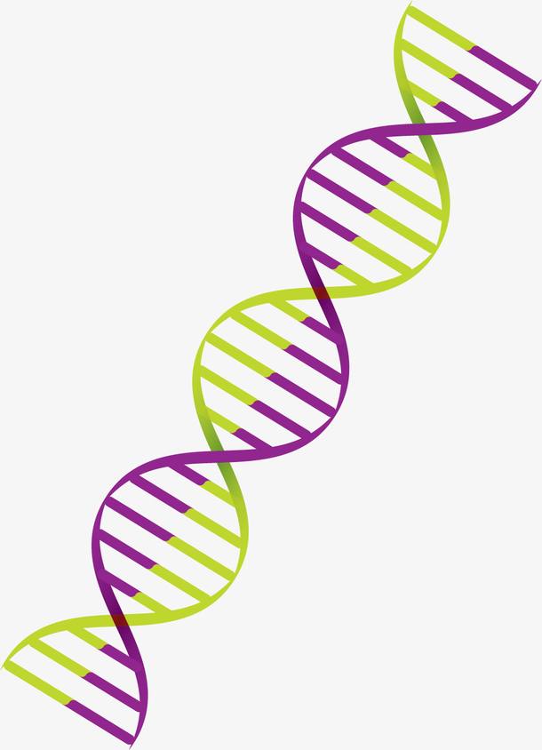 缠绕紫绿色矢量卡通风格dna