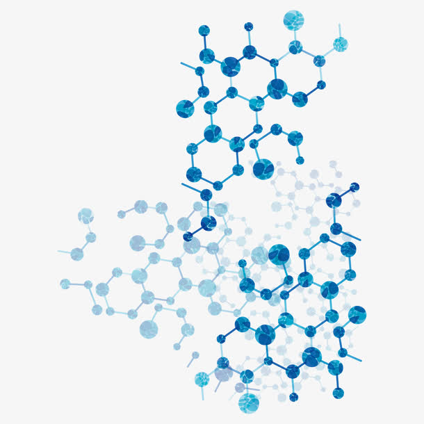 生物分子