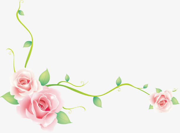 玫瑰背景 素材 免费玫瑰背景图片素材 玫瑰背景素材大全 万素网