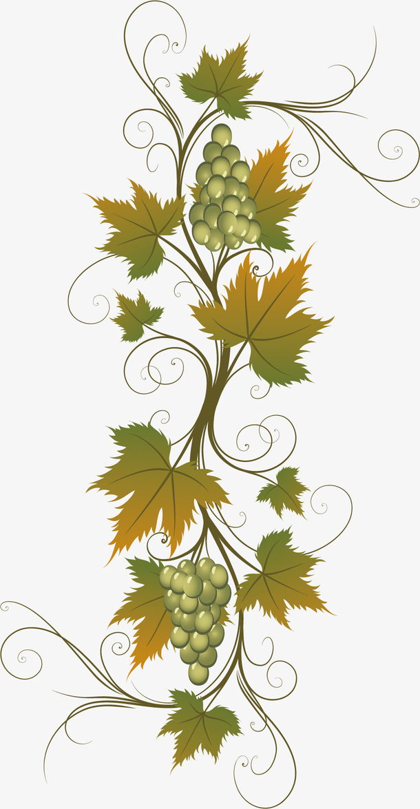 卡通葡萄藤植物设计元素