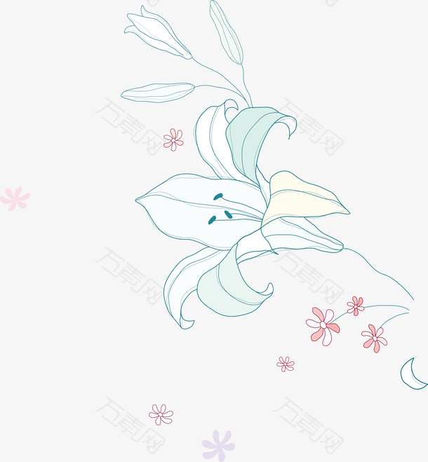 一束百合花卡通百合花