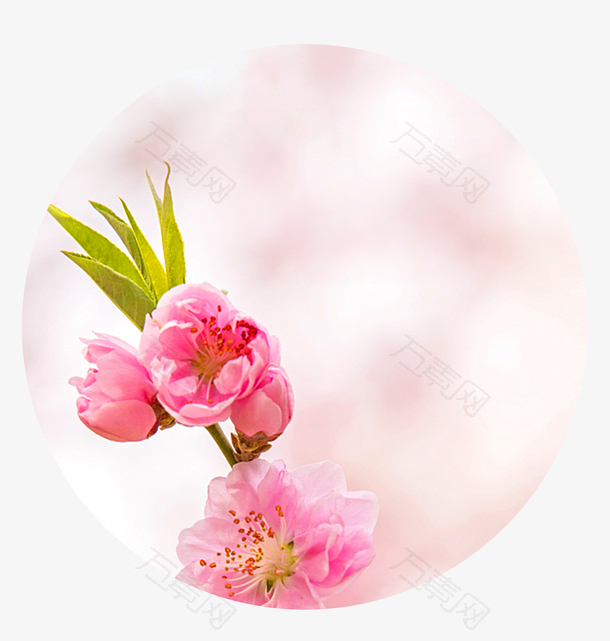 醉美桃花季桃花节旅游宣传海报