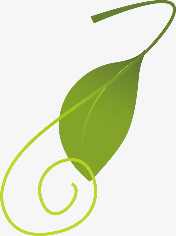 萝卜叶卡通一片萝卜叶