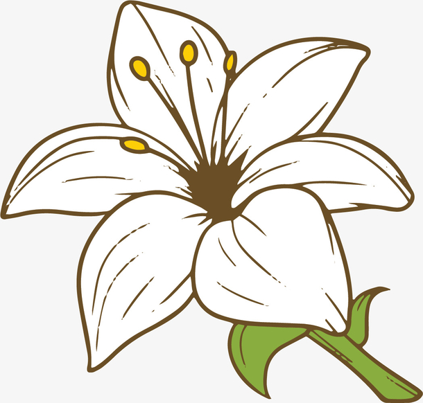 单色矢量手绘风格百合花