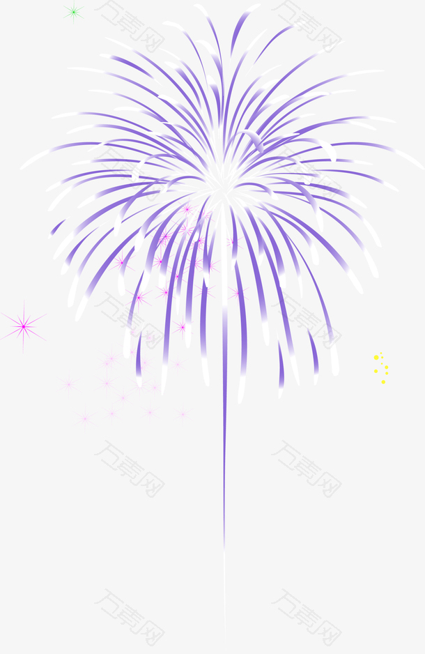 春节紫色绽放的烟花