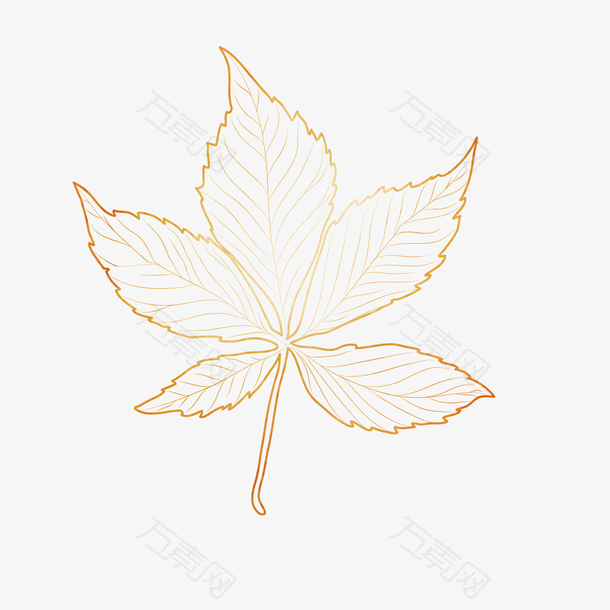 手绘枫叶纹路设计