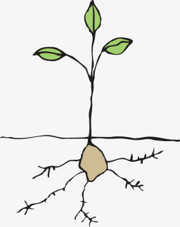 手绘秋分卡通种子发芽插画设计