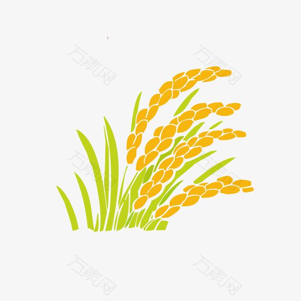 矢量水稻设计素材