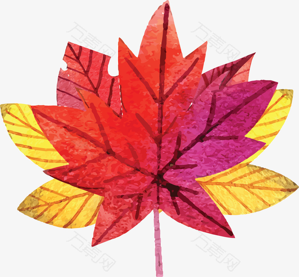 手绘风秋季的枫叶