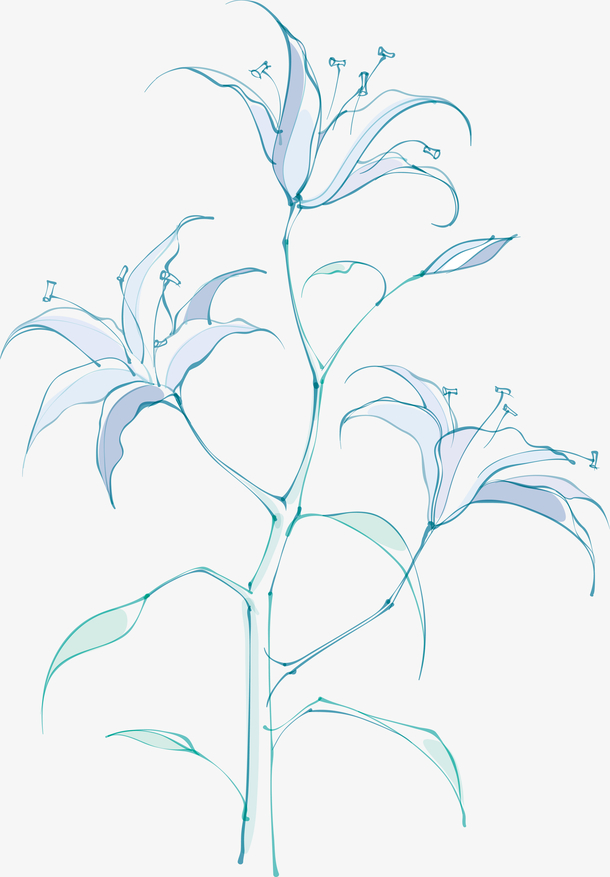 百合花图案漂亮百合花