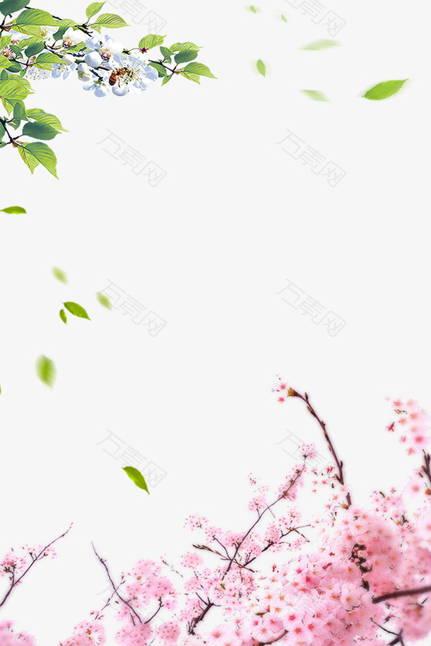 小清新花朵边框海报边框