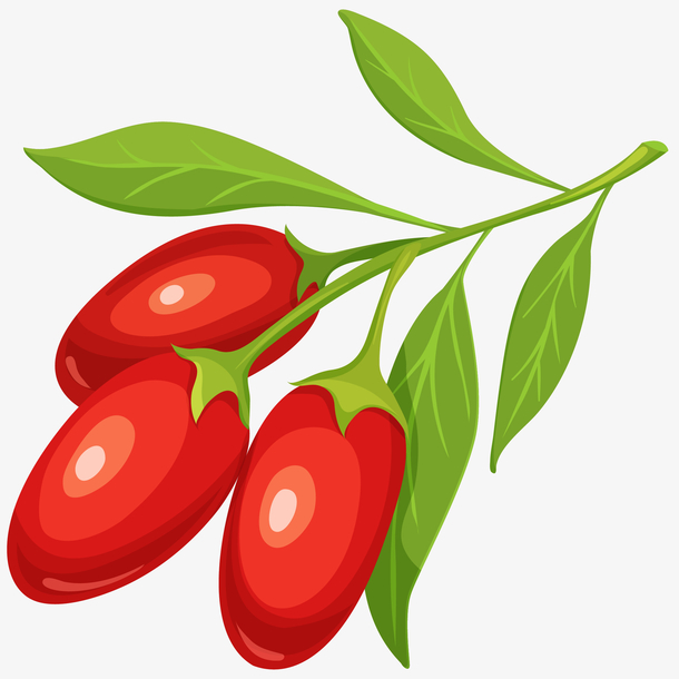 红色的果实手绘元素