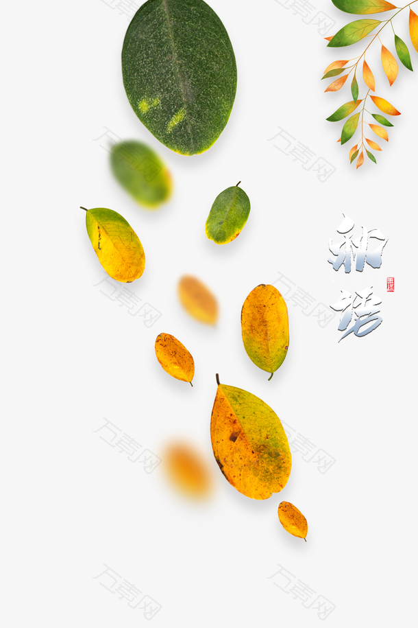秋天立秋树枝树叶二十四节气