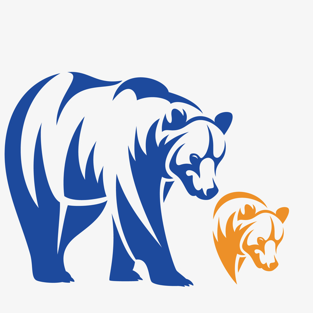 野生北极熊在北极游泳