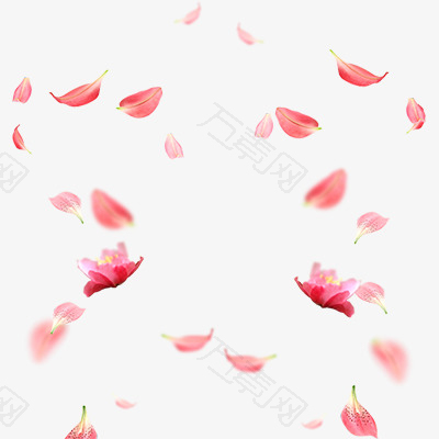 漂浮桃花  桃花  花瓣