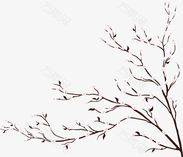 浪漫春天白色樱花