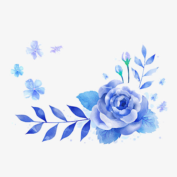 蓝色玫瑰花的画法图片