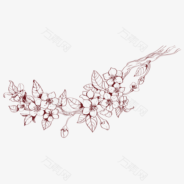 手绘桃花枝线稿图