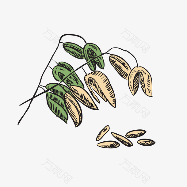 立秋麦穗丰收素材图案