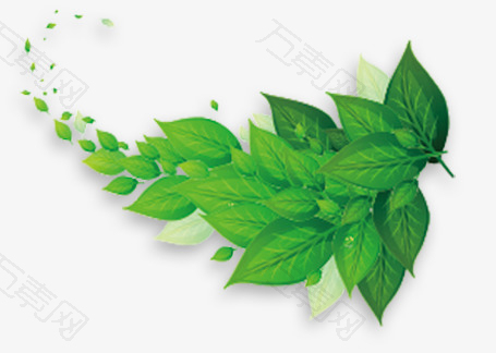 叶子绿叶淘宝素材